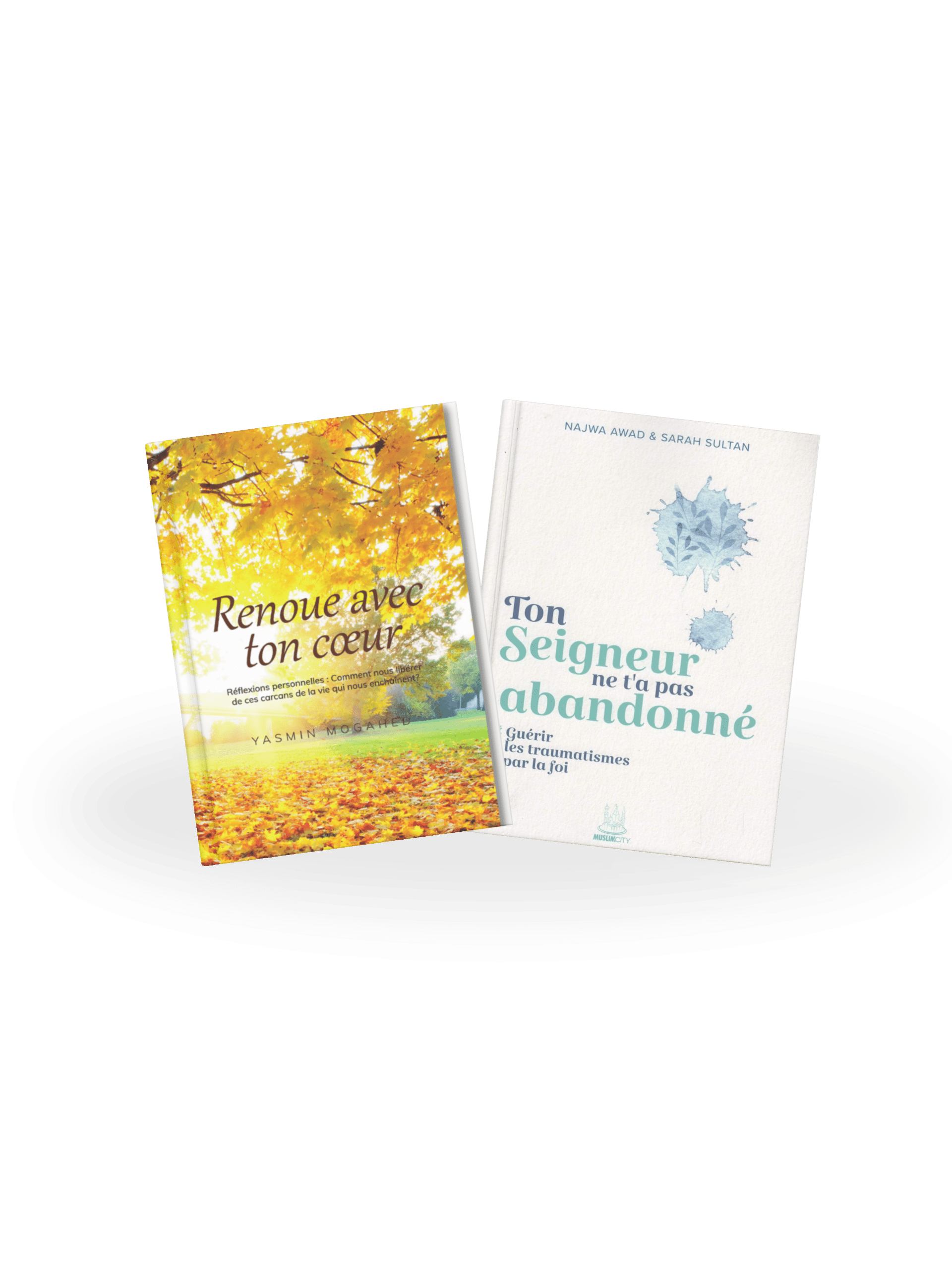 pack guérison & résilience pack guérison & résilience